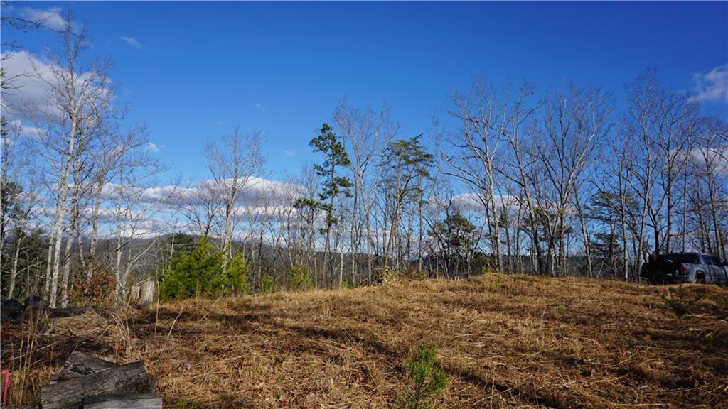 0 Muscadine Lane, Chatsworth, Georgia 30705