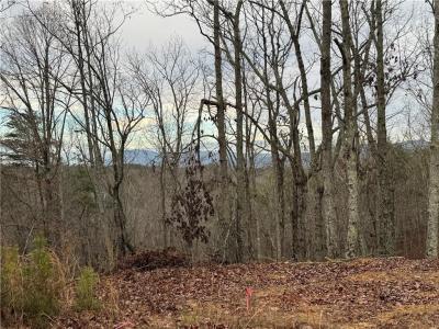 0 Muscadine Lane, Chatsworth, Georgia 30705