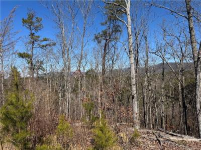0 Muscadine Lane, Chatsworth, Georgia 30705