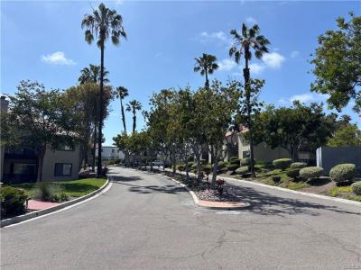 3513 Caminito Sierra # 101, Carlsbad, California 92009, Stati Uniti