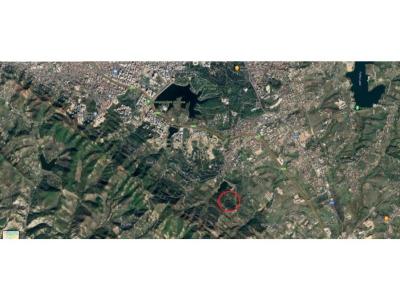 Mjull - Bathore, Tirana, ألبانيا