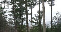 126 NIPPISSING RIDGE ROAD, Tiny, 安大略省 L9M 0H6, 加拿大