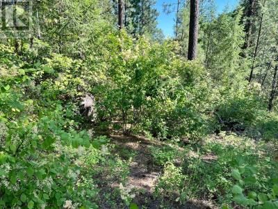 LOT 11 EVANS ROAD, Creston, Columbia Britannica V0B 1G7, Canada