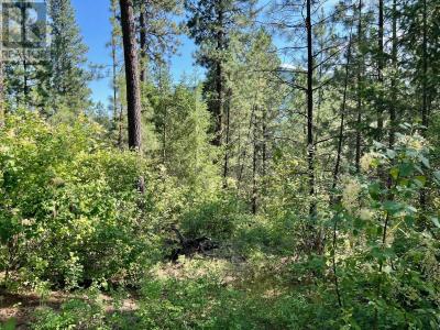 LOT 11 EVANS ROAD, Creston, Columbia Britannica V0B 1G7, Canada