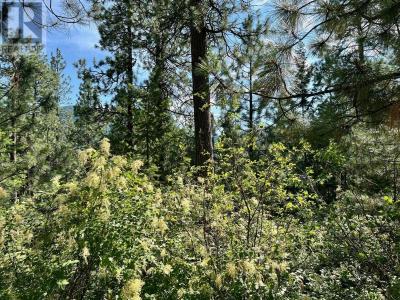 LOT 11 EVANS ROAD, Creston, Columbia Britannica V0B 1G7, Canada