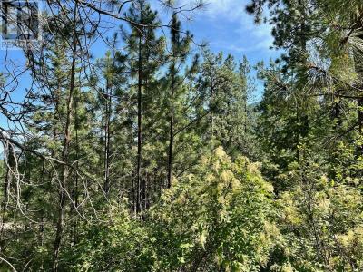 LOT 11 EVANS ROAD, Creston, Columbia Britannica V0B 1G7, Canada