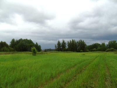 TOWNSHIP ROAD 731A, Rural Big Lakes County, Alberta T0G 1K0, Canada