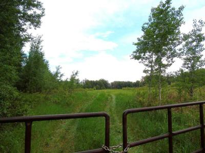 TOWNSHIP ROAD 731A, Rural Big Lakes County, Alberta T0G 1K0, Canada