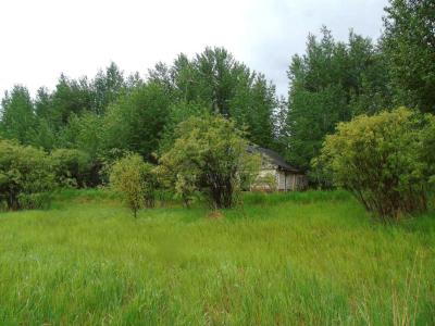 TOWNSHIP ROAD 731A, Rural Big Lakes County, Alberta T0G 1K0, Canada