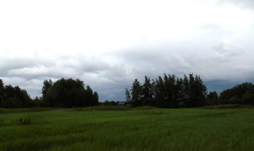 TOWNSHIP ROAD 731A, Rural Big Lakes County, Alberta T0G 1K0, Canada