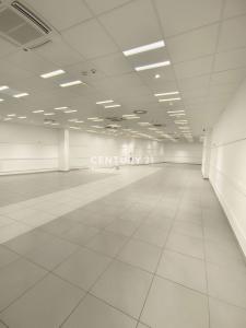 Ljubljana, Stara Ljubljana, Ljubljana, Osrednjeslovenska 1000, Slovenia