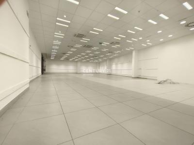 Ljubljana, Stara Ljubljana, Ljubljana, Osrednjeslovenska 1000, Slovenia