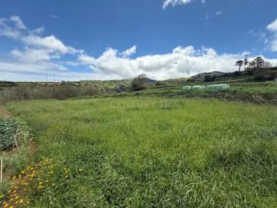 Nordeste, São Miguel 9630-083, Portugal