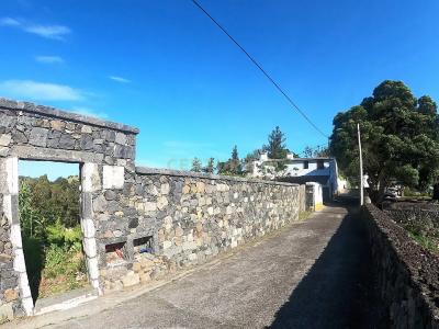 Lagoa, São Miguel Island 9560-206, Portugal