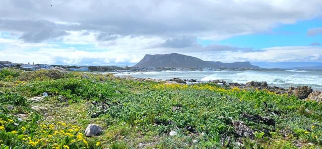 Gansbaai, Western Cape, África Do Sul
