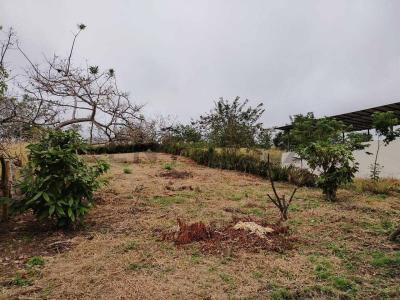 Ciudadela Eloy Alfaro junto al Complejo Turístico Montesito sn, Jipijapa, Manabí 00001, Ecuador