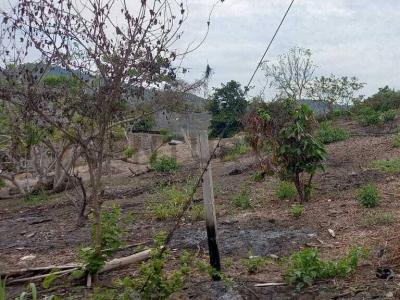 Ciudadela Colcachita junto a la Ciudadela Eloy Alfaro sn, Jipijapa, Manabí 00001, Ecuador