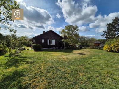 Rue du Grand Ry 14, Villers-en-fagne, 5600, בלגיה