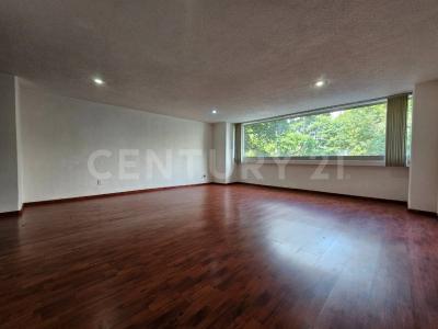Nicolás San Juan ,, Benito Juárez, Ciudad De México 03100, Meksyk