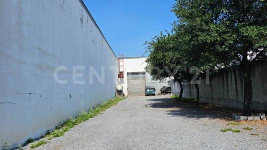Monterrey, 新莱昂 64540, 墨西哥