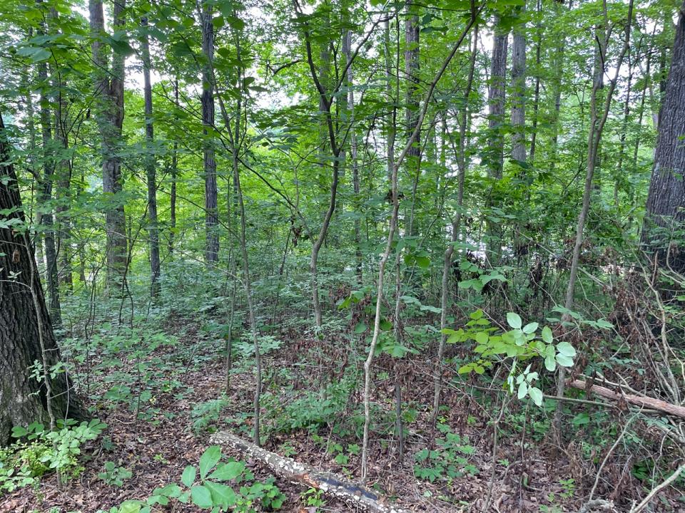Lot 6 Melrose Place, Dayton, Tennessee 37321