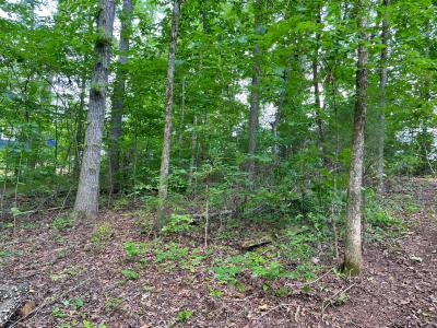 Lot 6 Melrose Place, Dayton, Tennessee 37321