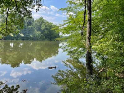 Lot 6 Melrose Place, Dayton, Tennessee 37321