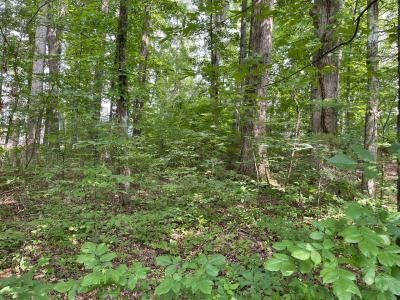 Lot 6 Melrose Place, Dayton, Tennessee 37321
