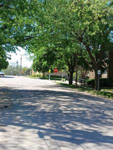 105-107 W Pleasant Street, Freeport, Illinois 61032, USA
