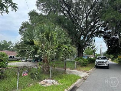 207 GODSELLS ST, Savannah, Georgia 31405, USA