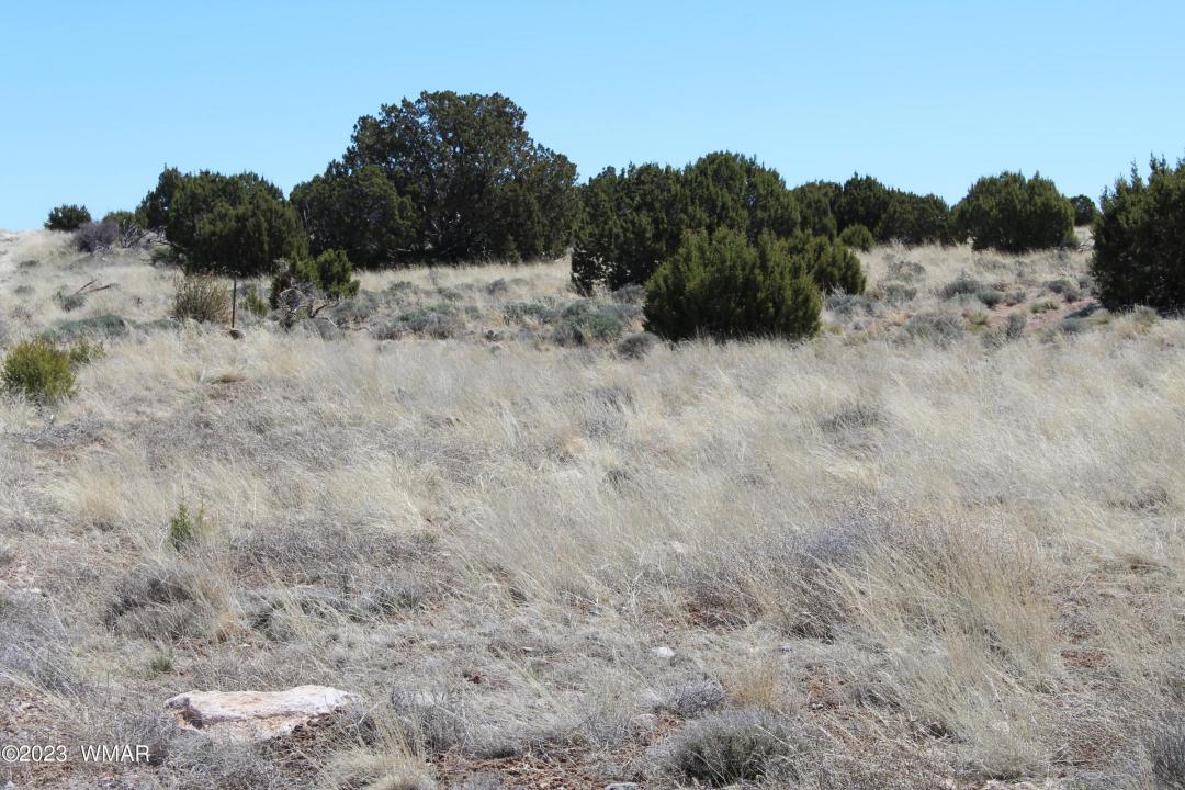 80 County Road 8620, Concho, Arizona 85924, Estados Unidos