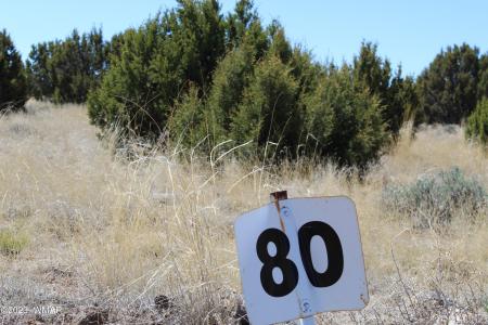 80 County Road 8620, Concho, Arizona 85924, Estados Unidos