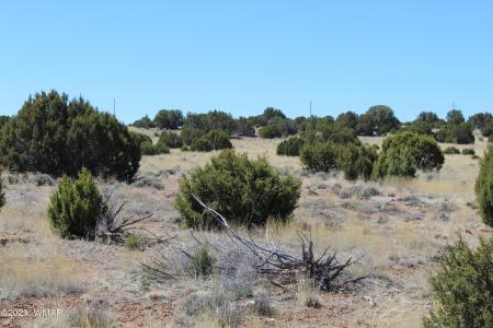 80 County Road 8620, Concho, Arizona 85924, Estados Unidos