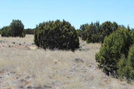 80 County Road 8620, Concho, Arizona 85924, Estados Unidos