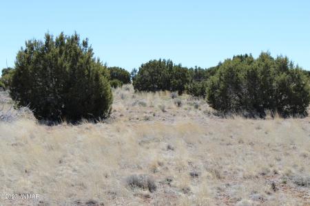 80 County Road 8620, Concho, Arizona 85924, Estados Unidos