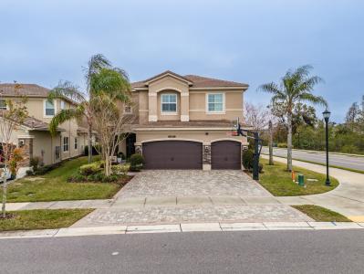 2388 Oakwood Preserve Dr, Wesley Chapel, פלורידה 33543, ארצות הברית של אמריקה 