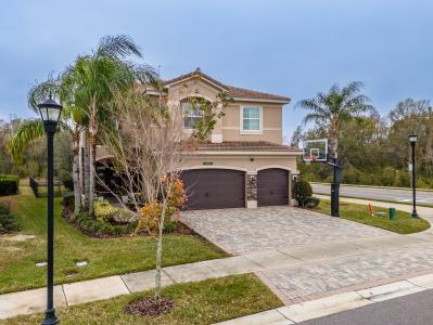 2388 Oakwood Preserve Dr, Wesley Chapel, Florida 33543, USA