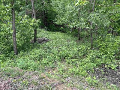 999 S Larson St, Richland Center, 威斯康辛州 53581, 美國