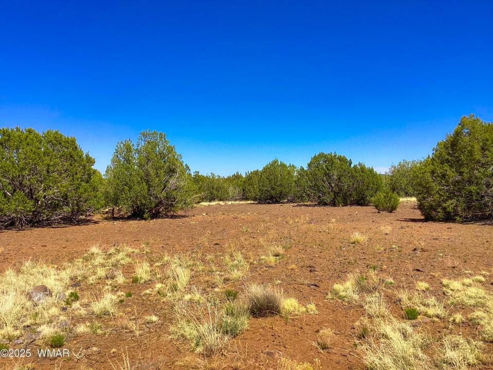 1528 Falcon Road Lot B, Show Low, Arizona 85901