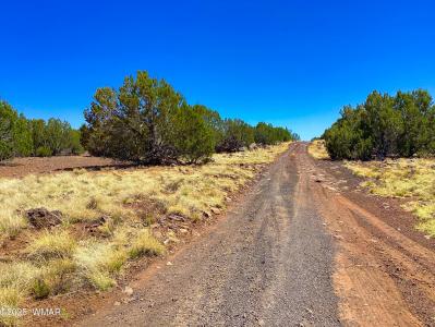 1528 Falcon Road Lot B, Show Low, Arizona 85901