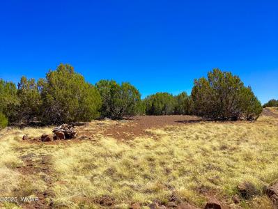 1528 Falcon Road Lot B, Show Low, Arizona 85901