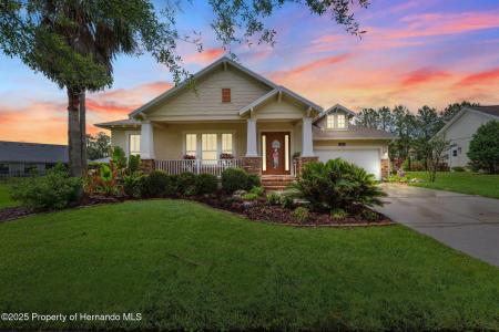 19531 Mossy Oak Court, Brooksville, 佛羅里達州 34601, 美國
