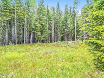 92 Camas Dr., Priest River, Idaho 83856