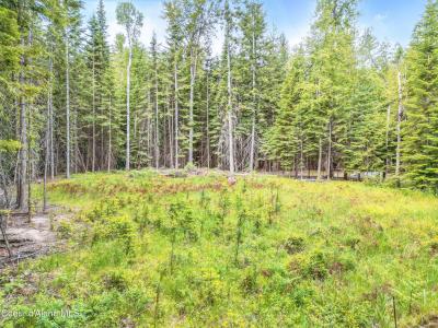 92 Camas Dr., Priest River, Idaho 83856