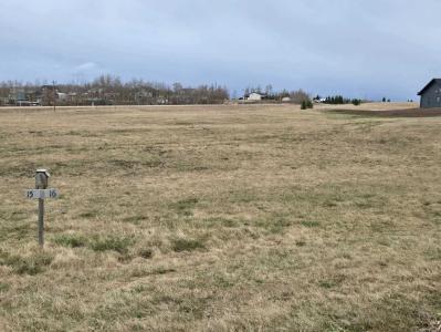 140 BRUHN BOULEVARD, Rural Ponoka County, 阿爾伯塔 T4N 4E7, 加拿大