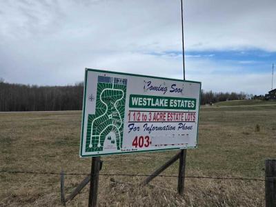140 BRUHN BOULEVARD, Rural Ponoka County, 阿爾伯塔 T4N 4E7, 加拿大