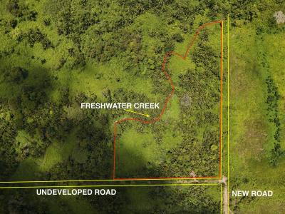 Silk Grass, Stann Creek 00001, Belize