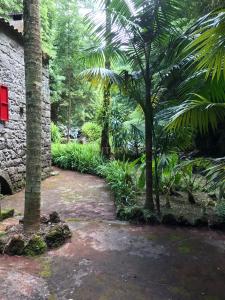 Nordeste, São Miguel 9630-019, Portugal