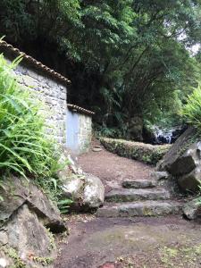 Nordeste, São Miguel 9630-019, Portugal