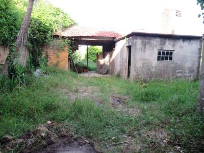 Oliveira Do Bairro, Aveiro 3770-407, Portogallo